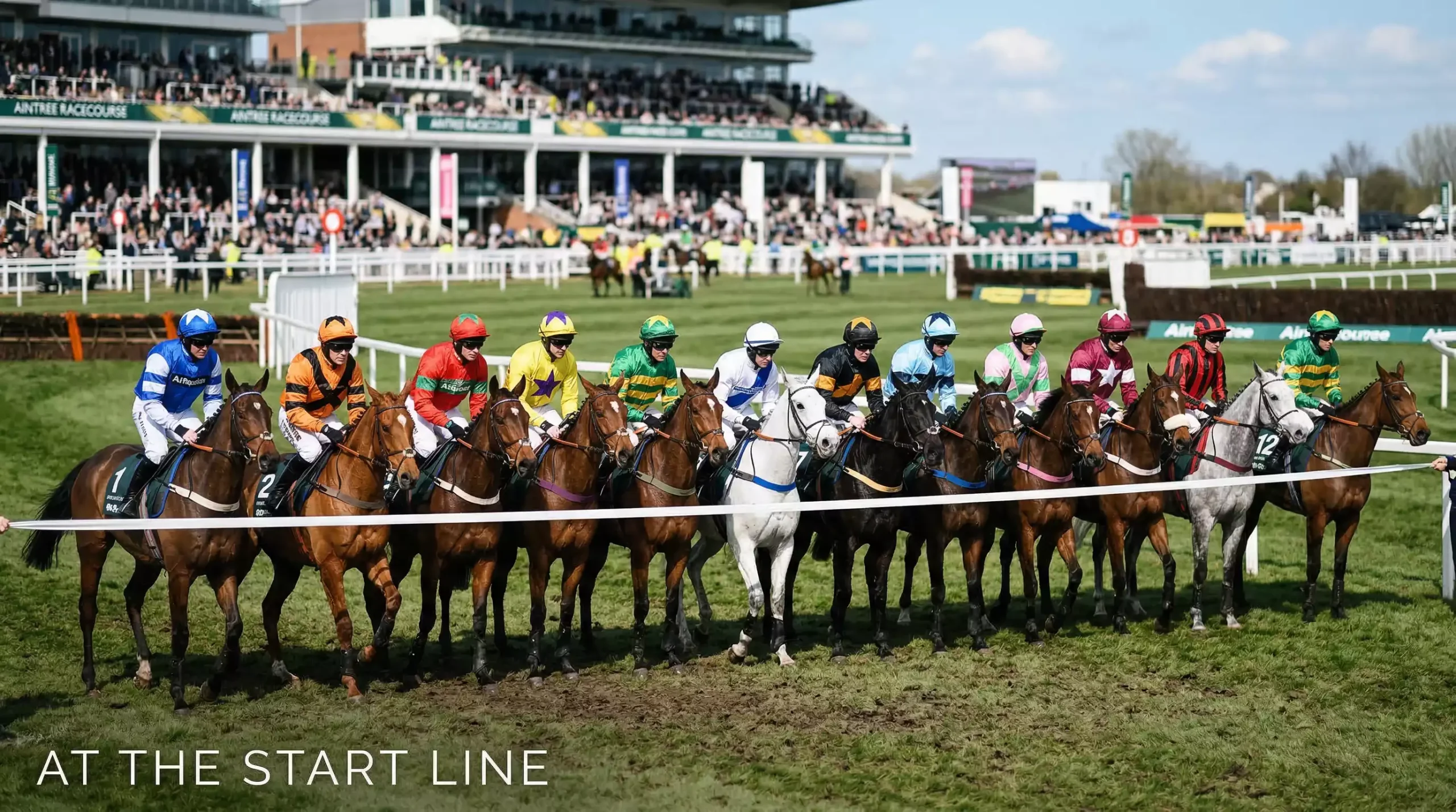 Several horses lined up at the start of a steeplechase race at Aintree